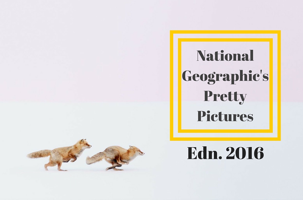 natgeo.jpg