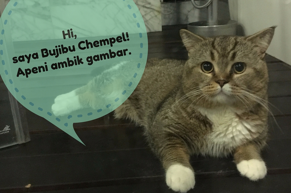 hi,saya-bujibu-chempel!-apeni-ambik-gambar.jpg