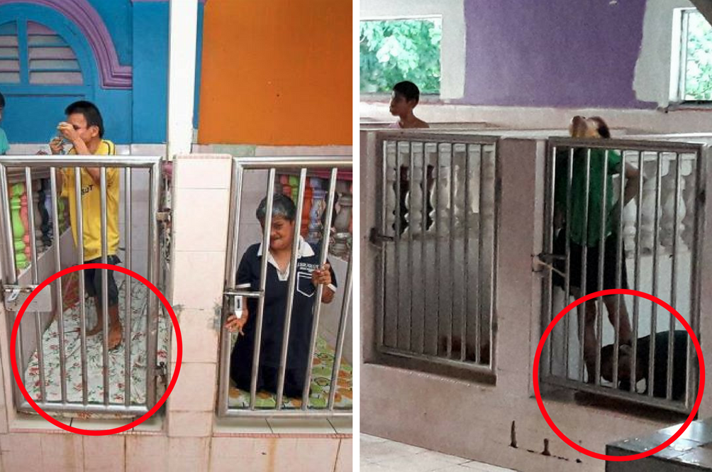 batu-gajah-disabled-caged-perak-(1).png