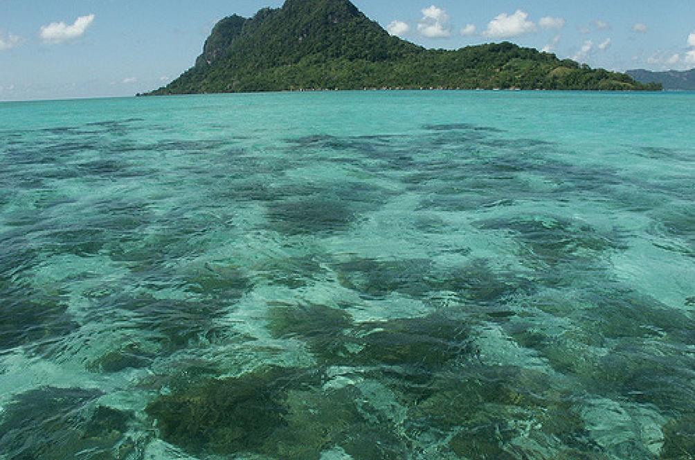 pulaugaya.jpg
