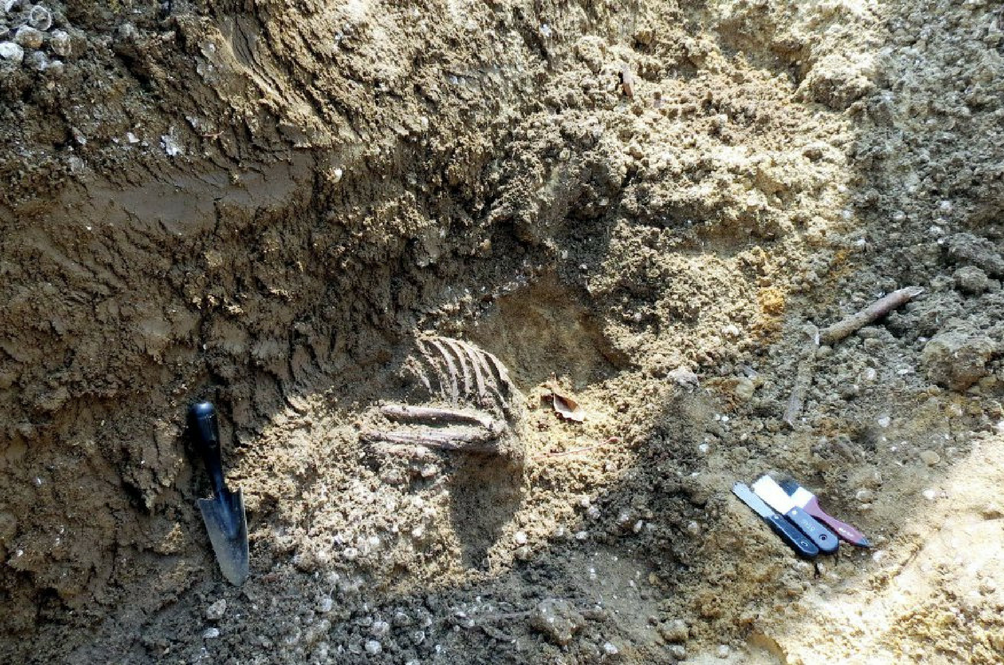 guar-kepah-neolithic-site.png