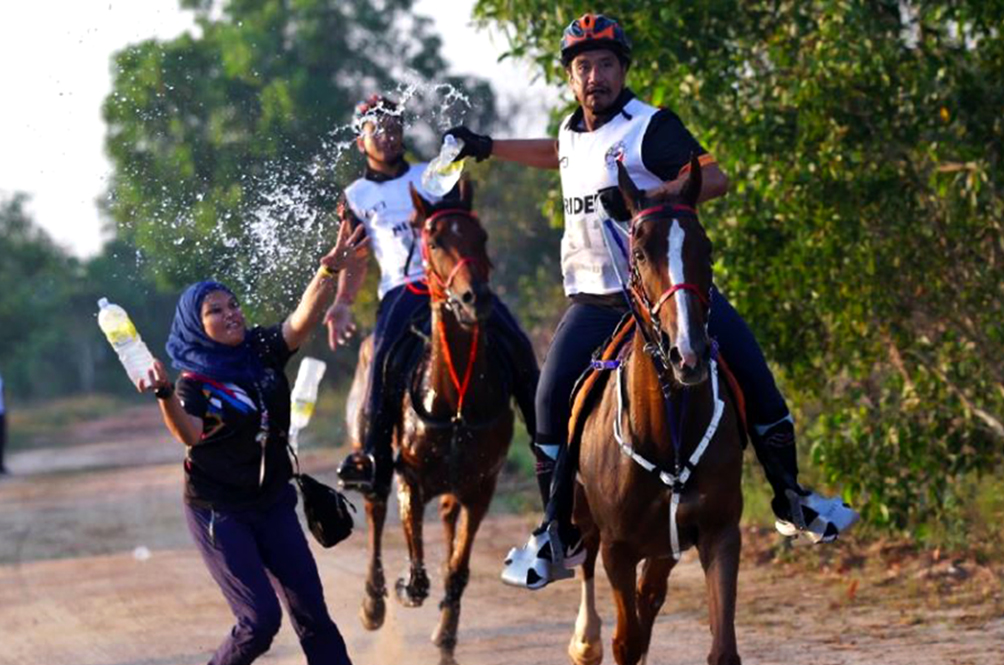 sultan-mizan2.jpg