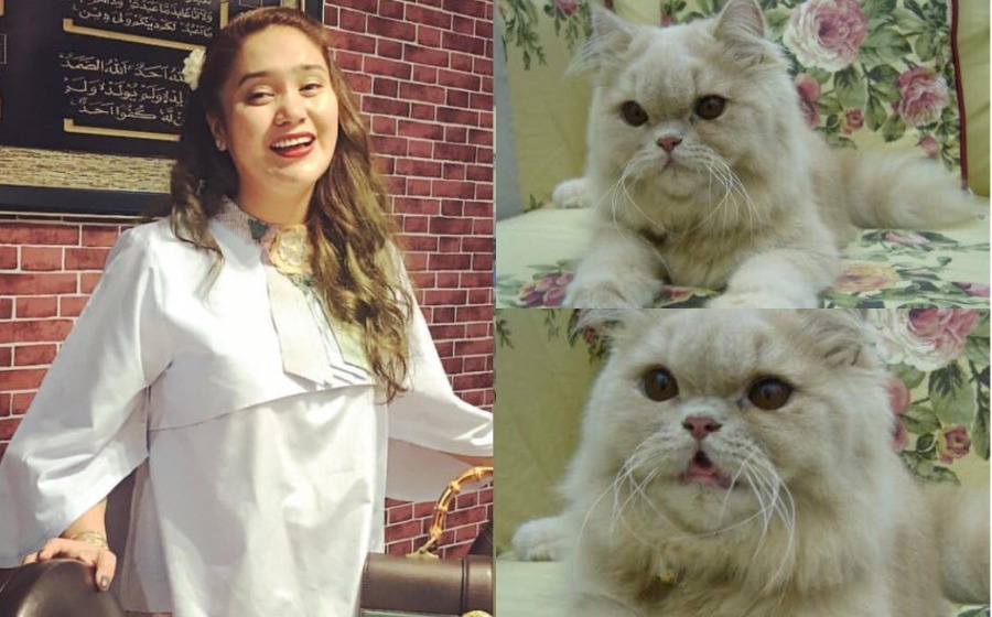 azharina-whitey-powercat.jpg
