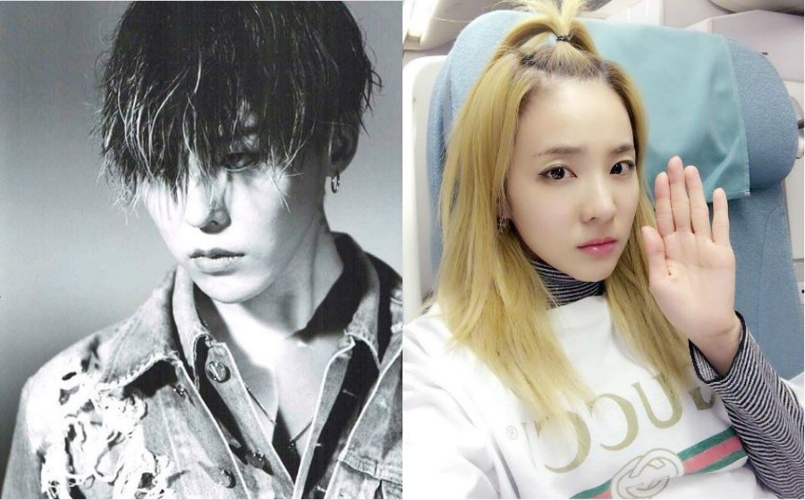 dara-g-dragon.jpg
