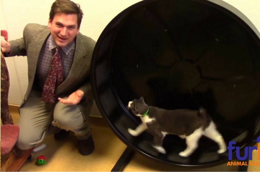 You Need to Watch This Hilarious Low-Budget Animal Shelter Commercial ...