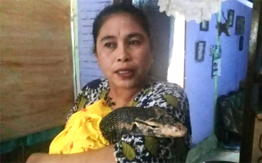 biawak-indonesia-header.jpg