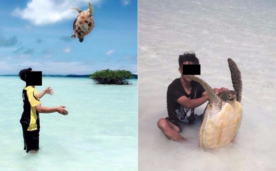 seksapenyuz.jpg
