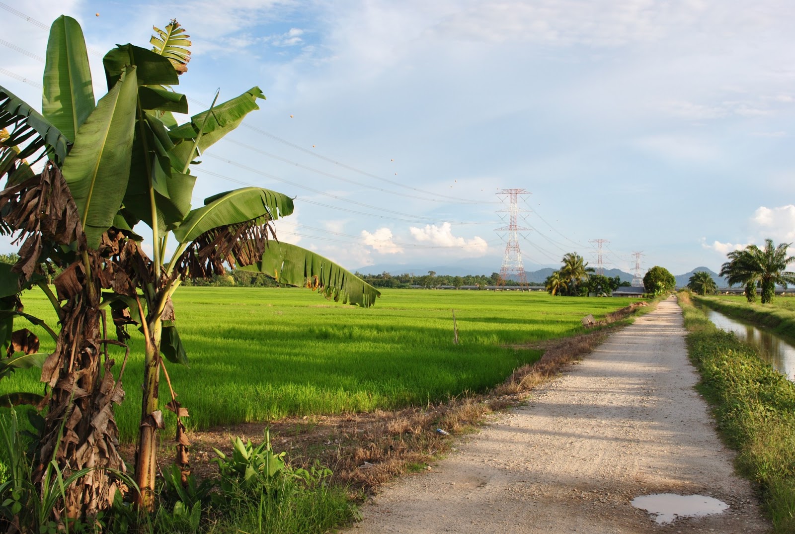 That feeling of passing through paddy fields!