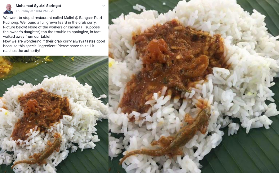 nasi-kari-cicak-header.jpg