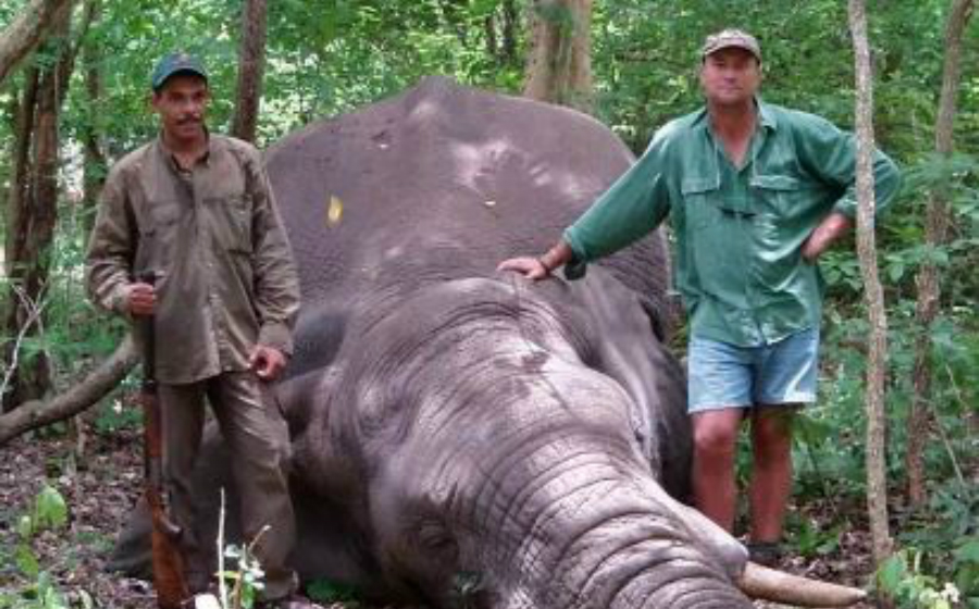 theunis-gajah-header_1.jpg