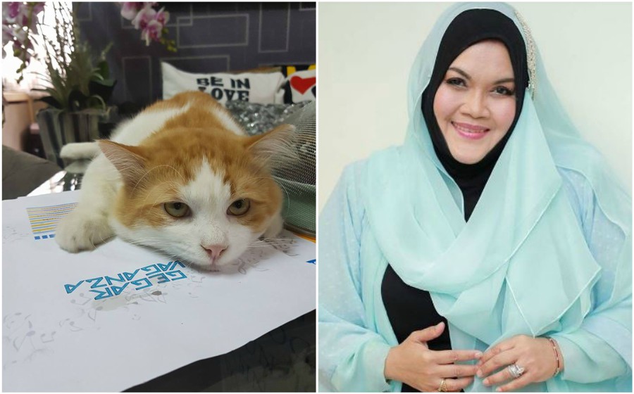 bambam-aishah.jpg