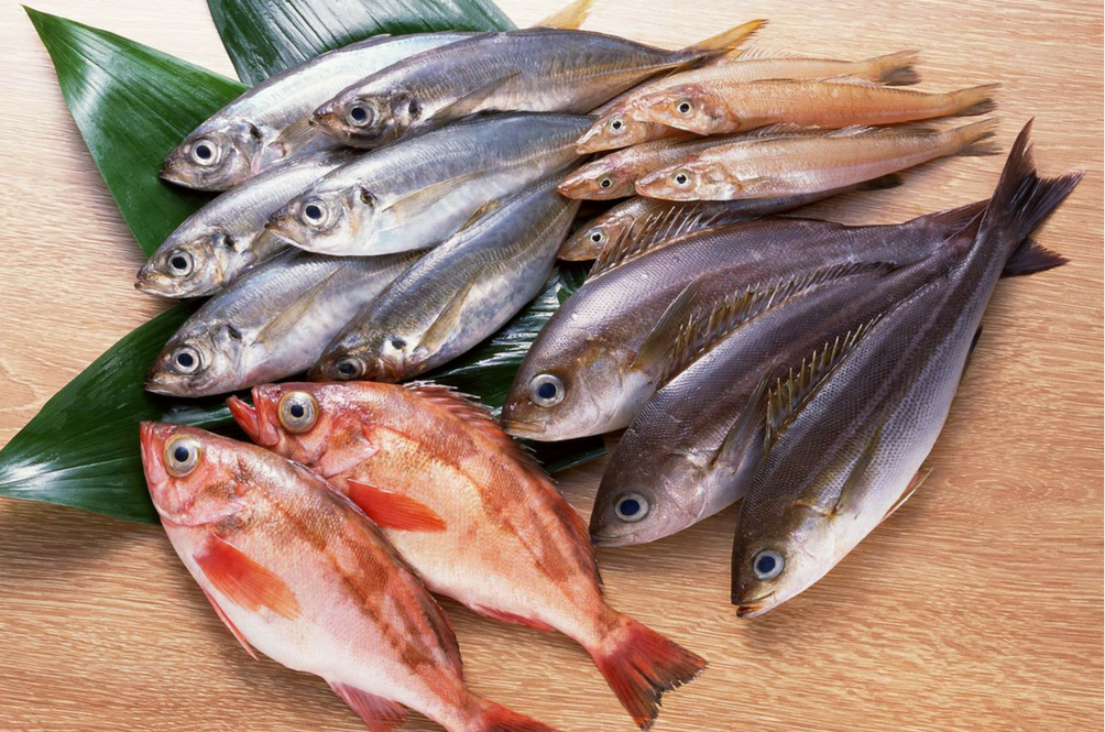 fresh-fish.png