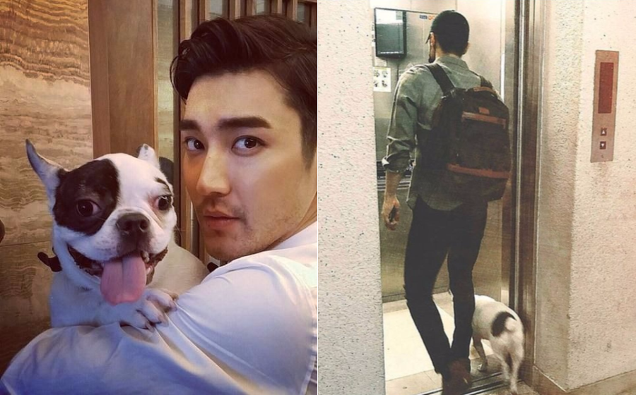siwon-bugsy.png