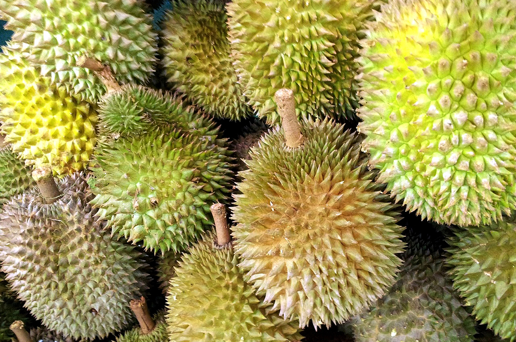 durian_1.jpg