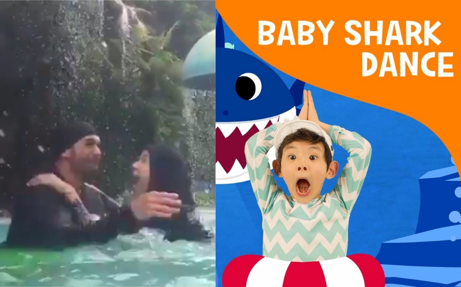 norman-shark-header.jpg