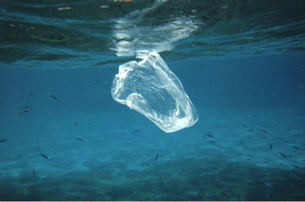 plastic-bag.png