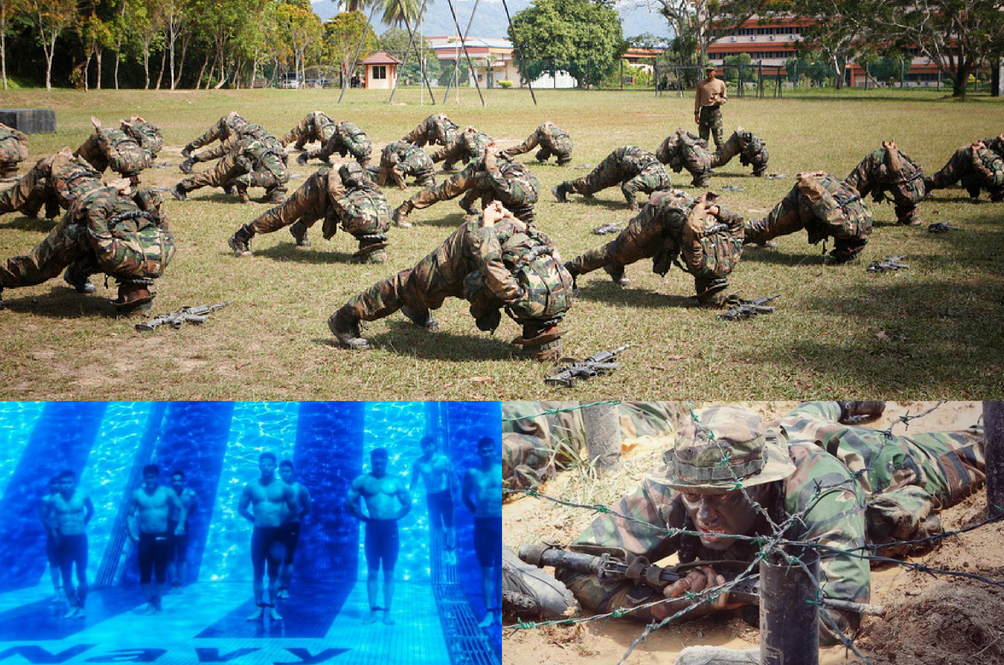 paskal-(2).jpg