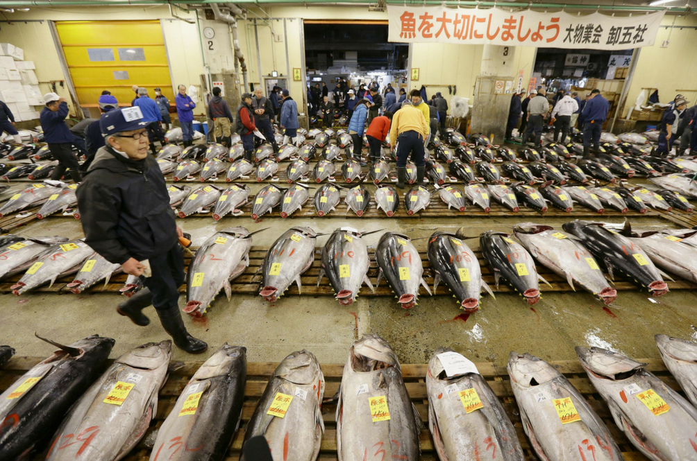 tuna-auction.jpg