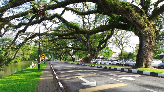 Alam semulajadi di Taiping masih terpelihara.