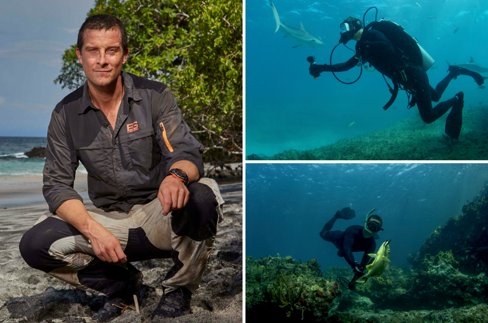 bear-grylls.jpg