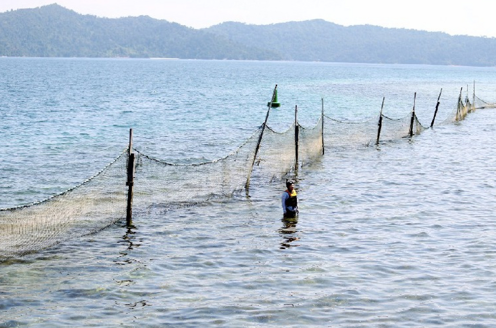 sabah.jpg