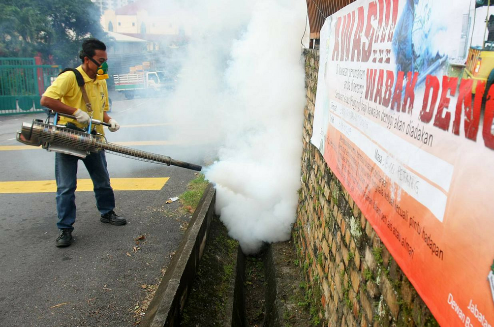 dengue.png