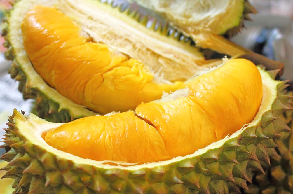 durian.png
