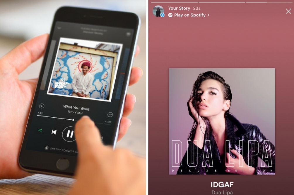 dualipa.jpg