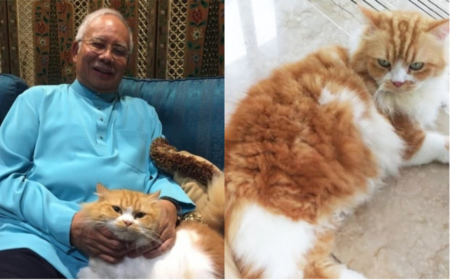 najib-kiky-header.jpg