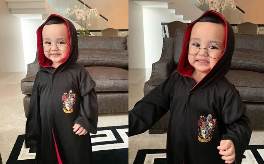 arif-potter.jpg