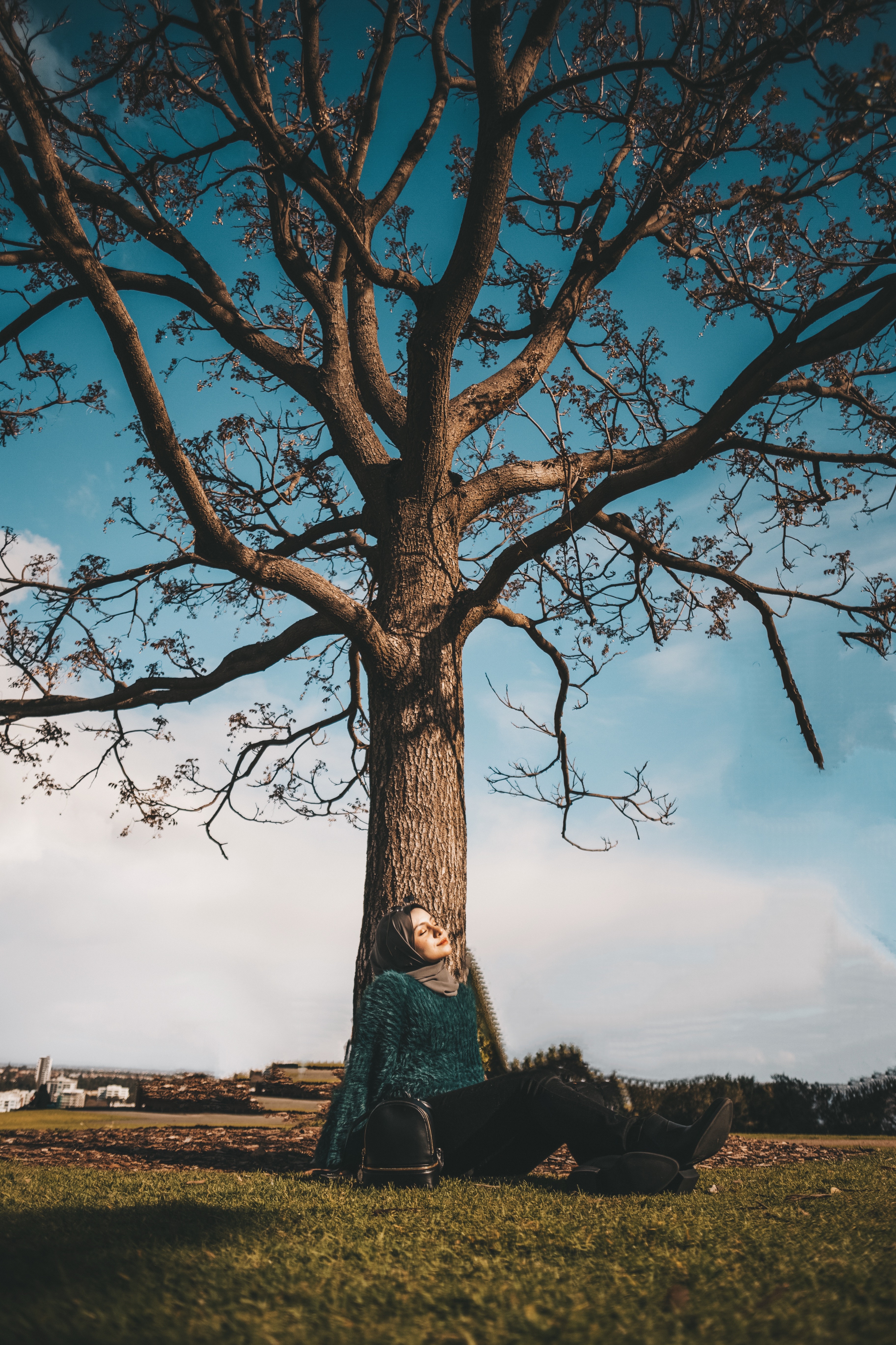 Malindo Air Even the tree looks nice!