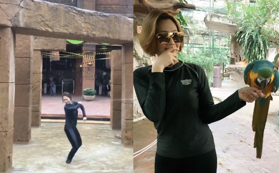 liabefunky-collage.jpg