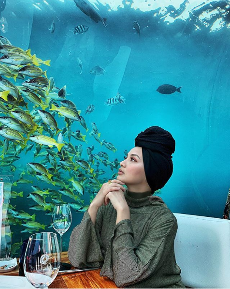 Fish are friends, not food.