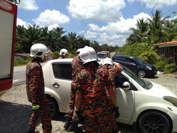 Cubaan mengeluarkan mangsa.