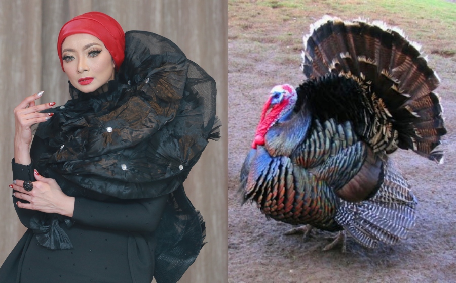 maya-ruslee-ayam-belanda.jpg