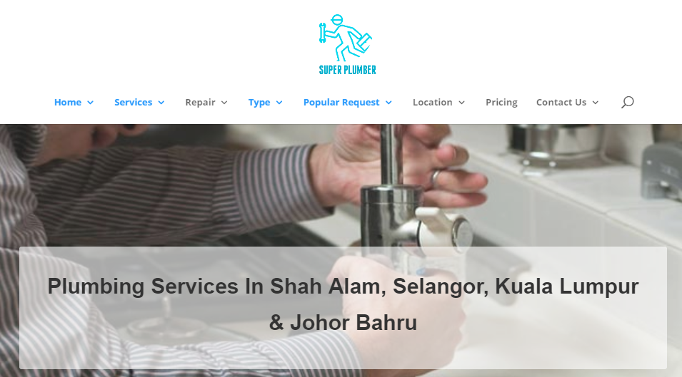 It's a bird, it's a plane... it's Super Plumber!