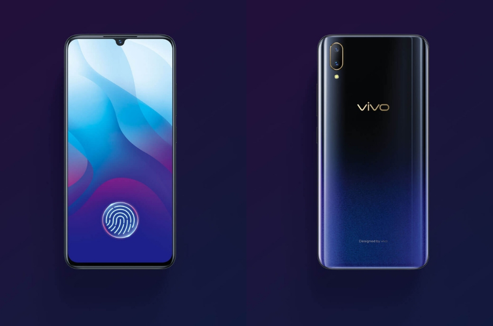 vivov11.jpg