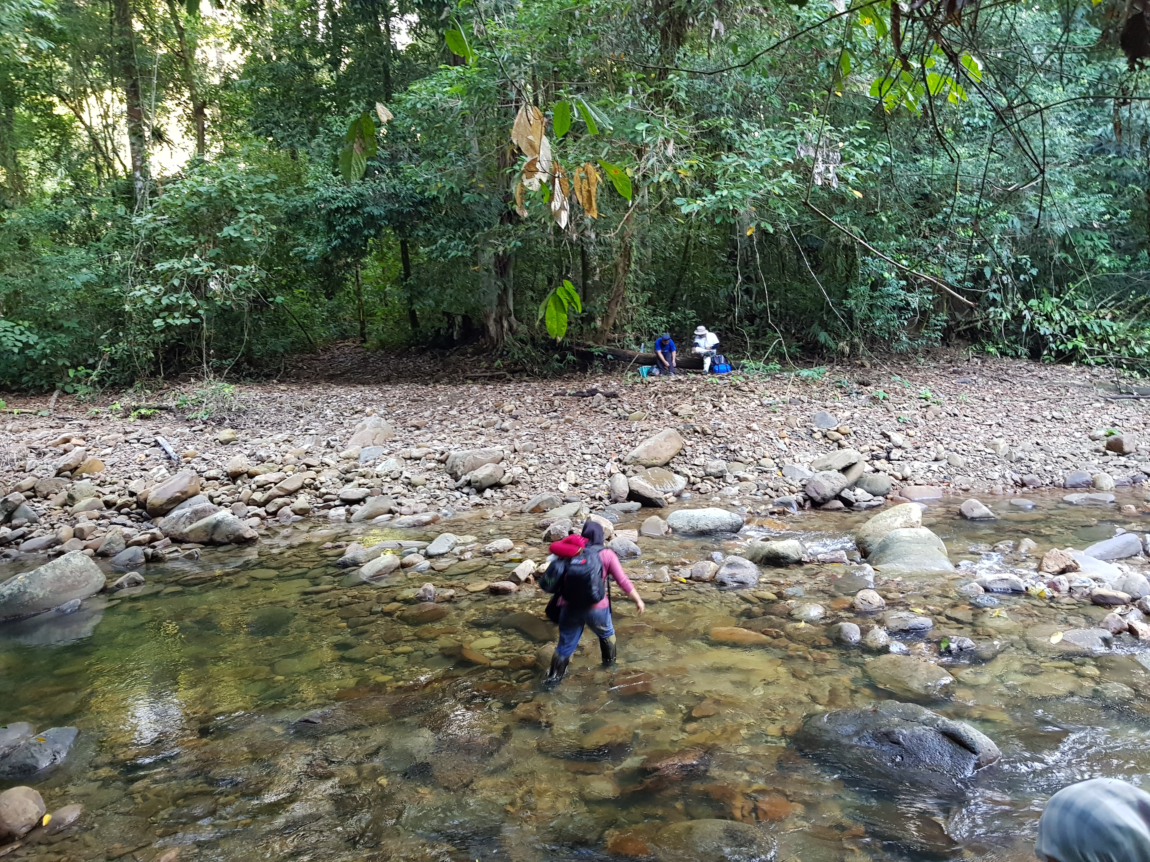 But first, we had to cross this river to get to the Gunung Kuli Research Station