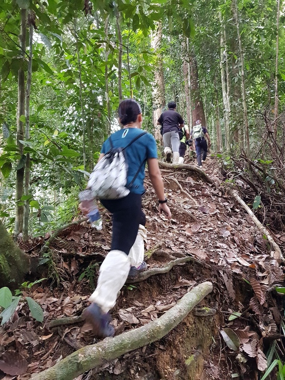 Challenging but can do lah