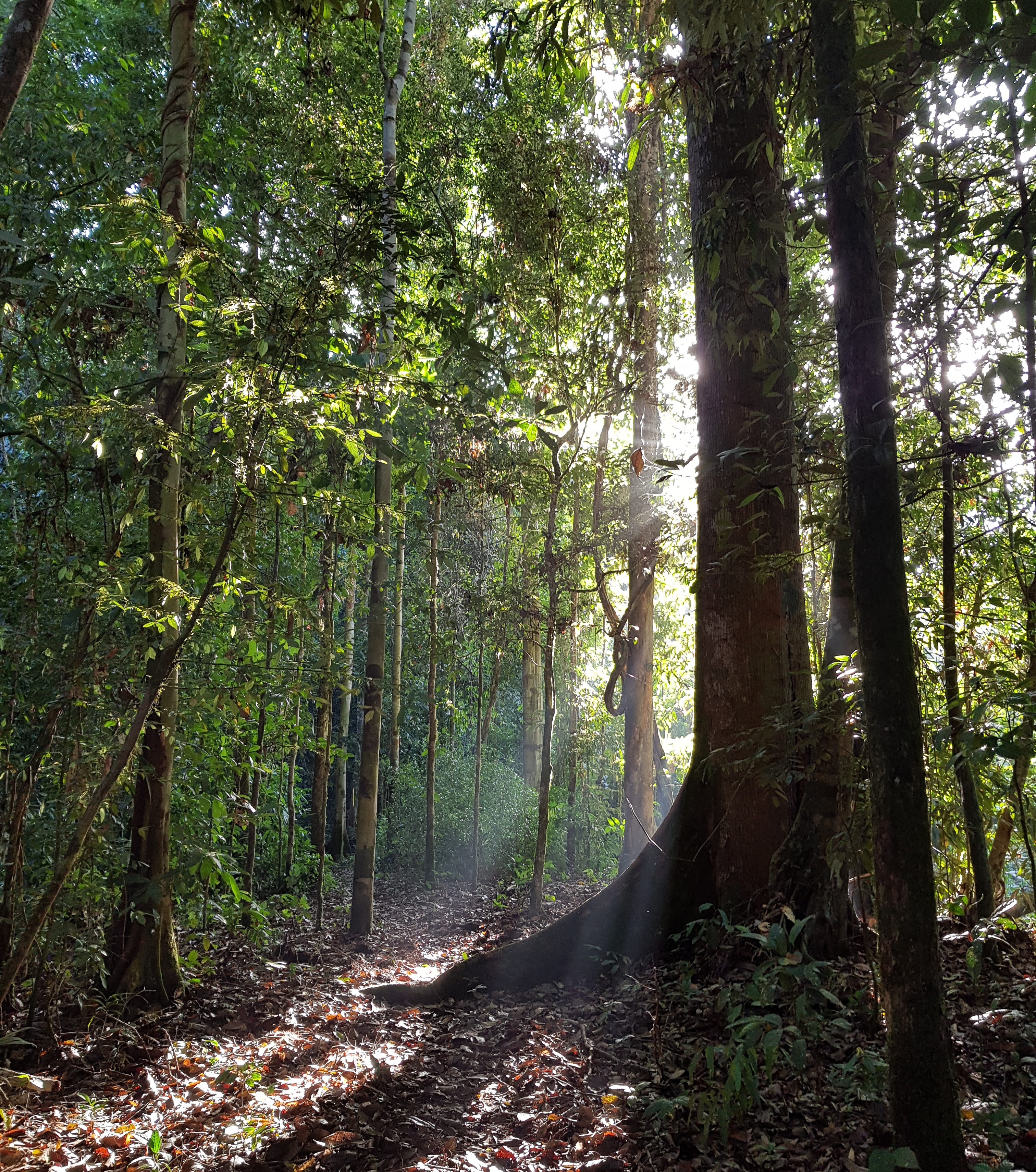 We spent quite some time capturing this beautiful view