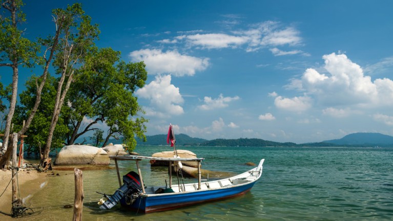The Culture Trip You'll be surprised how clear the waters are along the West Coast.