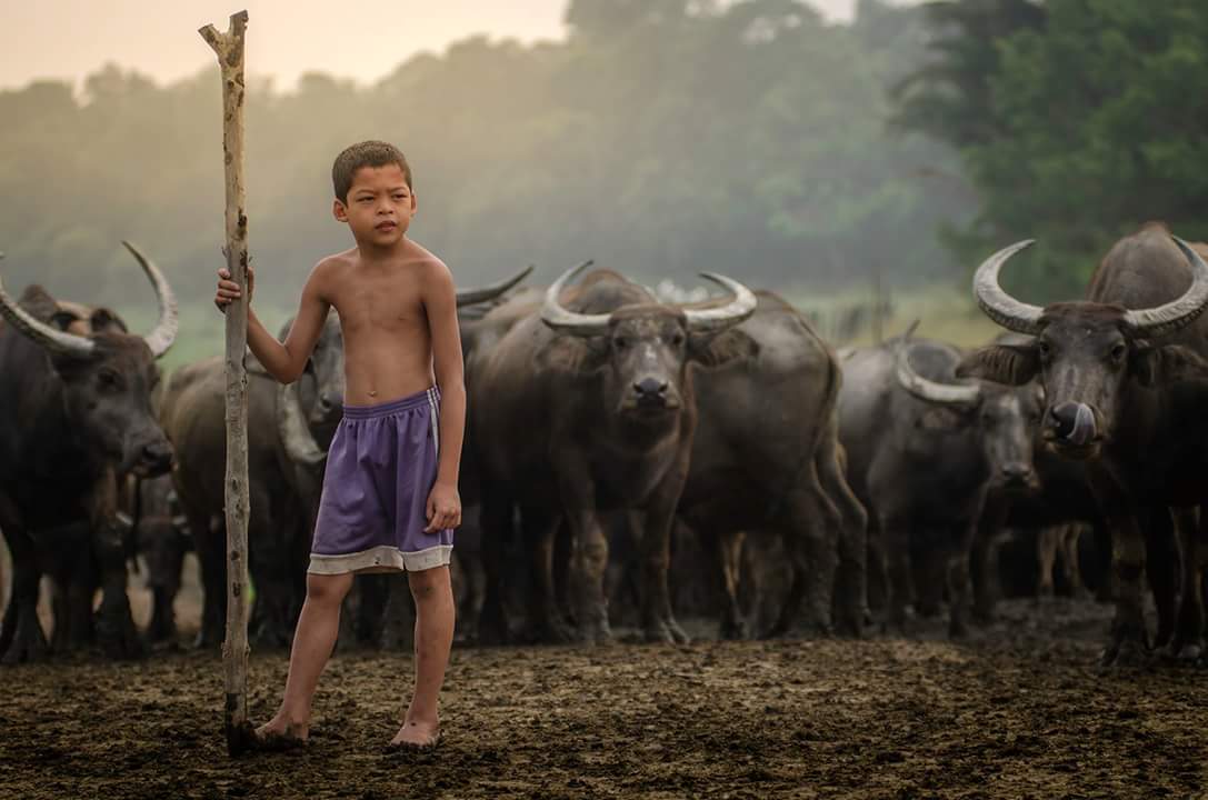 Maskulin The boy of the hour.