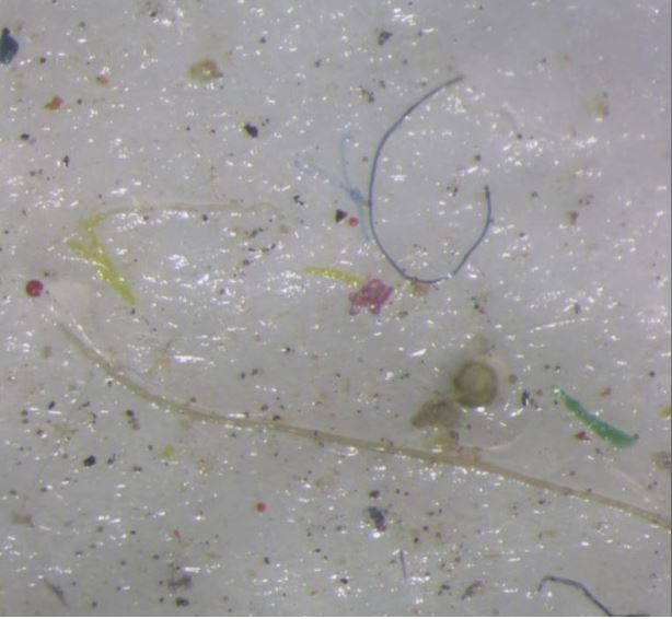 Microplastic found in the ice.
