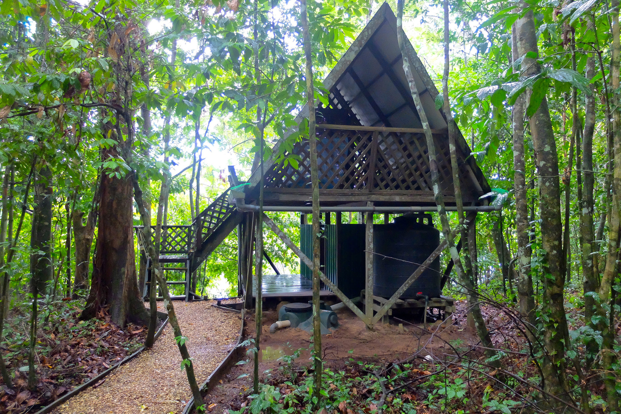 Flickr/ bryce.wigodsky An eco-camp at the heart of Borneo Rainforest.