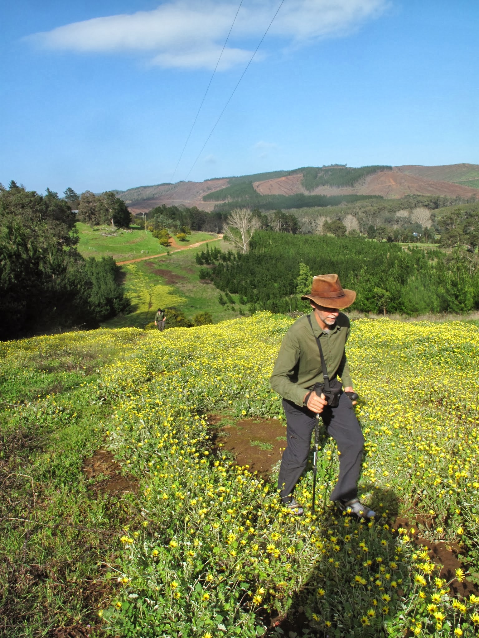 Have you been on a bushwalk before?