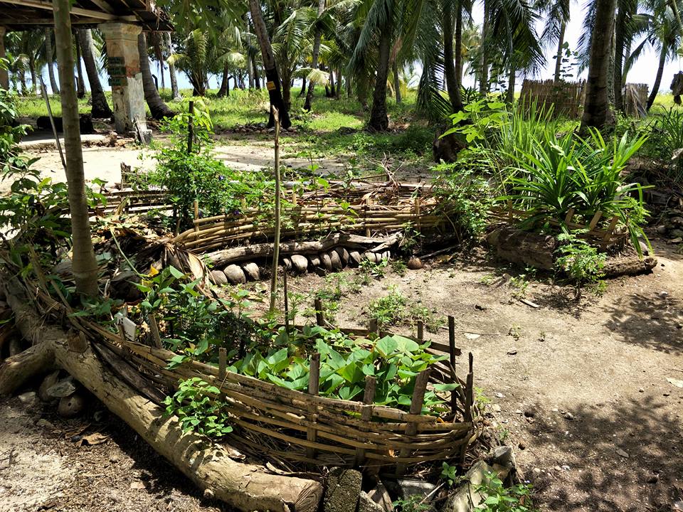 Facebook/ Sakiinah M Hakimi Get involved in permaculture activities.
