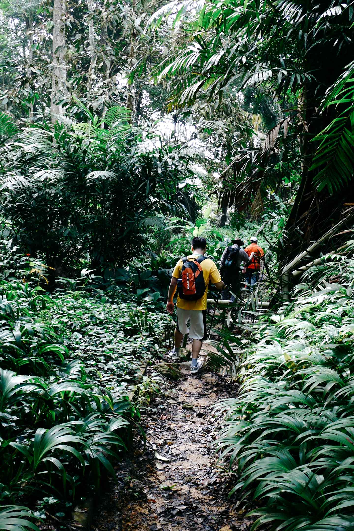 Stop eating and start walking.