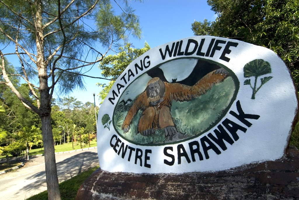 Flickr/ Malaysia Truly Asia The Matang Wildlife Center.