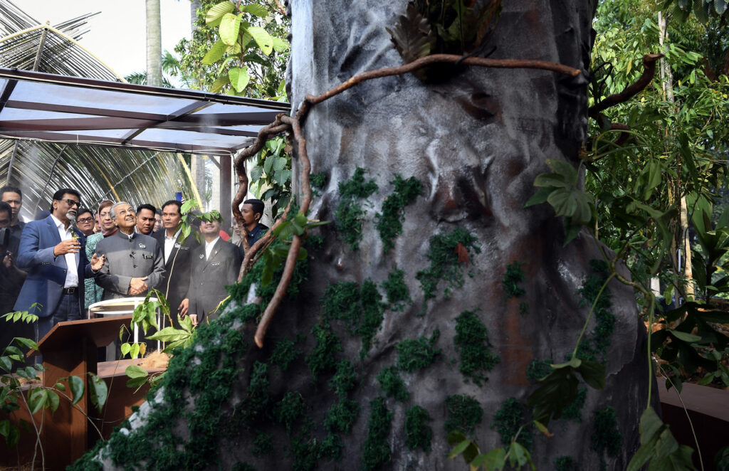Bernama Tun M looking in awe of the Merbau tree.