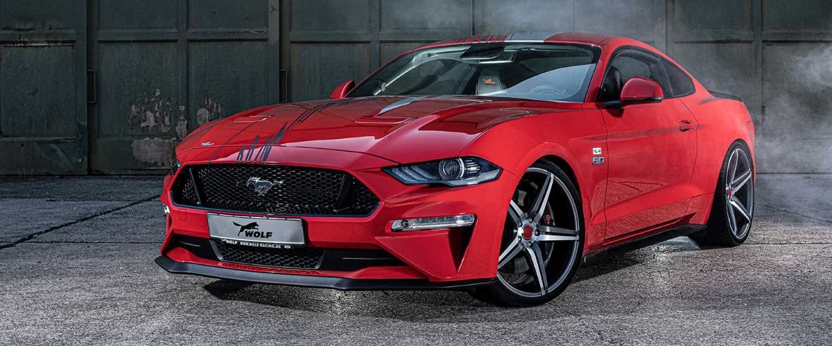 mustang-wolf-mi.jpg